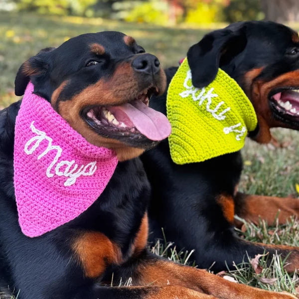 Dog Bandanas