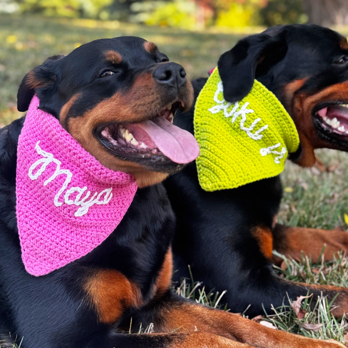 Dog Bandanas