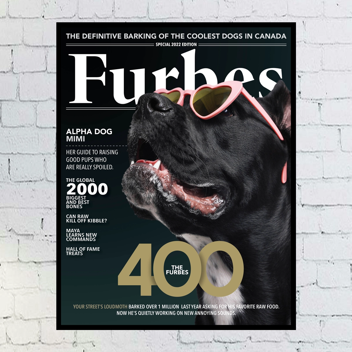 Custom Digital Dog Magazine Cover