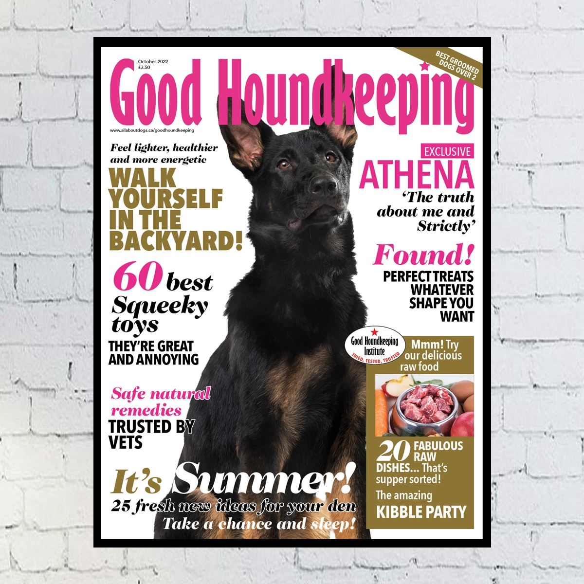 Custom Digital Dog Magazine Cover