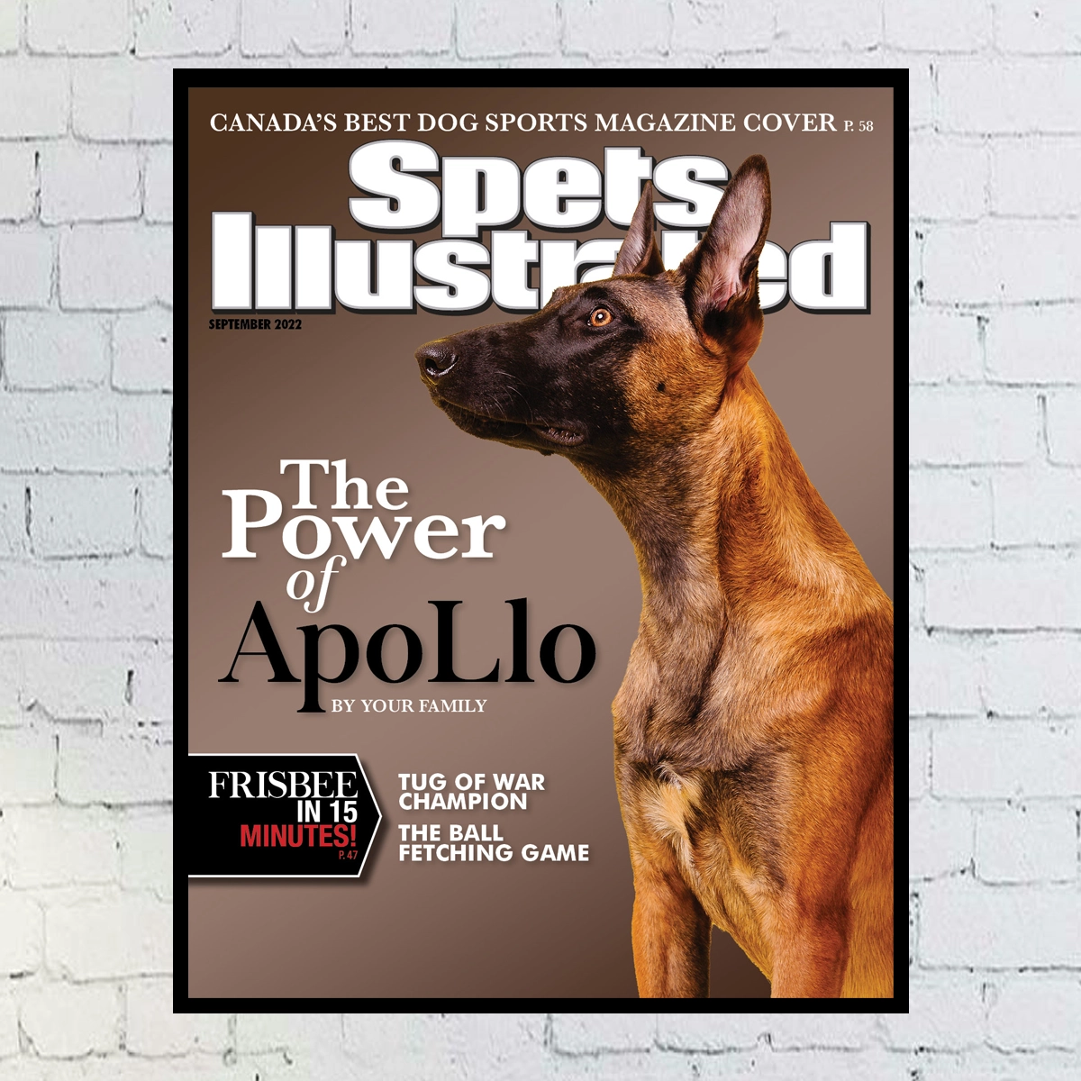 Custom Digital Dog Magazine Cover